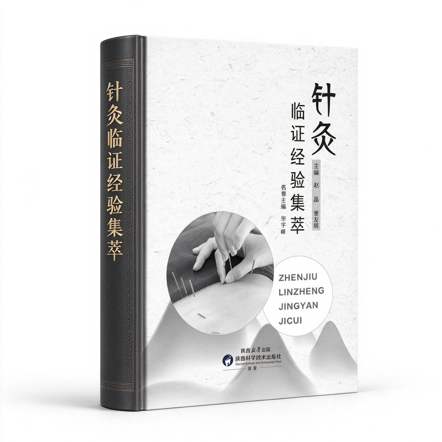 针灸临证经验集萃陕西科学技术出版社2023