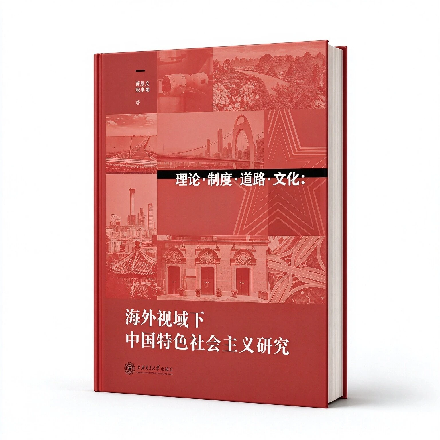 理论制度道路文化海外视域下中国特色社会主义研究上海交大出版社2022